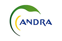 andra