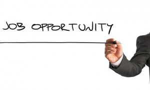 Emploi expert Avant-vente